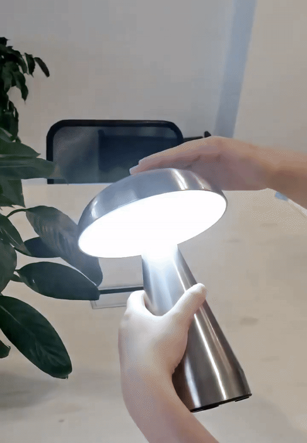 Chroma Dome Cordless Lamp